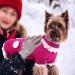 Joytale Dog Sweater - Warm Turtleneck Knitting Clothes for Small Dogs & Cats Cute Flower Design Hot Pink XS - Buy Online on GoSupps.com