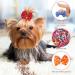 Ustnir 10-Piece Dog Hair Accessories Set Rubber Band Hair Loops for Long-Haired Dogs & Cats - Buy Online on GoSupps.com