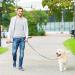 Chew-Proof Heavy Duty Metal Dog Chain Leash - 4FT Black Nylon Rope with Padded Handle - Strong Leads for Large/Medium Dogs - Ideal for Walking, Running, Training - Buy Online on GoSupps.com
