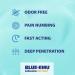 Blue Emu Lidocaine Numbing Cream Pain Relief 2.7 oz - Fast-Acting Topical Analgesic - Buy Online on GoSupps.com