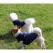 Warm Fleece-Lined Dog Jacket - Windproof Vest for Winter | Joydaog | Extra Soft & Cozy (XS Blue) - Buy Online on GoSupps.com