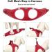 Suredoo Reflective Dog Harness & Leash Set for Small Pets | Anti-Train Design in Red - Perfect for Dogs Puppies & Cats - Buy Online on GoSupps.com