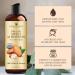 Handcraft Blends Organic Almond Oil - 8 Fl Oz - 100% Pure and Natural - Premium Grade Oil for Skin and Hair - Carrier Oil - Hair and Body Oil - Massage Oil - Hexane-Free Organic Sweet Almond - 8 Fl Oz (Pack of 1) 8 Fl Oz (P  - Buy Online on GoSupps.com
