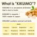 NAFFY KIKUIMO Jerusalem Artichoke Supplement - Organic Inulin & Dietary Fiber - 210 Tablets Made in Japan - International Shipping Available - Buy Online on GoSupps.com