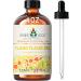 EVOKE OCCU Clove Essential Oil and Ylang Ylang Essential Oil - 4 Fl Oz - Buy Online on GoSupps.com