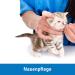 Kosmetex 250x Dog & Cat Ear Cleaning Swabs - Wide Cotton Head Cotton Tips for Effective Pet Hygiene - Buy Online on GoSupps.com