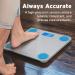 Etekcity Digital Bathroom Scale | Large Blue LCD Display | High Precision | 400lb Capacity - Buy Online on GoSupps.com