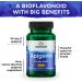 Swanson Apigenin-Bioflavonoid Supplement - 90 Caps, 50mg - Prostate & Metabolism Support - Buy Online on GoSupps.com