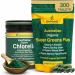 Biogenesis Full-Spectrum Nutrition Kit: Organic Chlorella Powder (200g) & SuperGreens Mini Tablets (300 ct) | Australian Grown Wheatgrass & Barley Grass Blend | Vegan Immune Support & Daily Energy