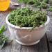 Organic Nettle Seeds 100g - Premium Bio Nettle Seeds for Health & Wellness | 100% Gently Dried - Buy Online on GoSupps.com