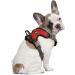 Littlearth NCAA Georgia Bulldogs Front Clip Pet Harness - X-Small | Team Color - Buy Online on GoSupps.com