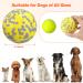 Fonpoo Super Elegant Dog Ball - Indestructible Interactive Water Toy for Small & Medium Dogs - Durable Pet Toy in Yellow & Blue - Buy Online on GoSupps.com