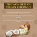 Buy SPA CEYLON Virgin Coconut Nourishing & Glowing Facial Masque | International Shipping Available - Buy Online on GoSupps.com