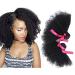 BGHJUE Afro Wig Long Kinky Curly Wigs For Black Women Black Hair Wig 10InchBlack Black10 Inch