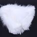 Rosrrtlm 1pc Fashion Turkey Feather Duster with Black Plastic Handle Cleaning Tool(white) 35cm - Buy Online on GoSupps.com