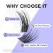 Buy Beyelian C Curl Cluster Eyelashes - 48 PCs DIY 0.07mm Individual Lash Extensions (14mm) with Super Thin Black Band - Perfect for Home Use - Buy Online on GoSupps.com