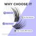 Beyelian C Curl Cluster Eyelashes - 48 PCs 0.07mm 10mm Individual Lashes DIY Extensions - Super Thin Black Band (Twin Flowers) - Buy Online on GoSupps.com