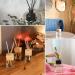 MITENING 150 PCs Natural Rattan Reeds - Aroma Diffuser Sticks for Home & Office | Eco-Friendly Fragrance Replacement (24cm x 3mm) - Buy Online on GoSupps.com