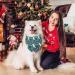 2PCS Washable Dog Christmas Bandana Set for Small Medium Pets - Festive Triangle Scarf for Dogs & Cats - Holiday Accessories & Party Decoration - Buy Online on GoSupps.com