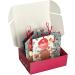 LOLLOSHOP Christmas Cookie Box Decorated with Royal Ice Cream Candy Christmas Creations - Buy Online on GoSupps.com