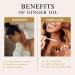 Aoruilia 10ml Ginger Essential Oil 100% Pure Natural Ginger Oils for Hair Growth Aromatherapy Diffuser Massage Spa Bath Yoga Ginger 10 ml (Pack of 1) - Buy Online on GoSupps.com