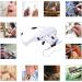 Itian Lightweight Head Magnifier Adjustable Magnifying Glass Loupe Visor Hands Free Eyeglasses Bracket/Headband Interchangeable Headset Magnifier with 2 LED & 5 Different Lenses(1.0X 1.5X 2.0X 2.5X 3.5X) - Buy Online on GoSupps.com