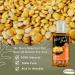 Nature Max Lupine Oil Essential Oils Natural Undiluted Pure for Hair and Skin Care Cold Pressed Premium (1 Pack 2.70 oz / 80 ml)  - Buy Online on GoSupps.com