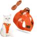 Cat lines with dishes for cats dog harness cat dishes with leash cat harness and leash cat dishes little cat cat dishes cat dishes cat dishes and line set outdoor walking orange M