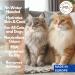 Cat Dry Shampoo Powder with Lavender and Rosemary for Cats 5.29 fl. oz| Grooming for Cat | Kitten Sensitive Skin | Cleansing and Moisturizing Perfume and Talc Free (1) - Buy Online on GoSupps.com