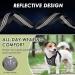 Slowton XXS Dog Harness with Safety Belt for Car - Breathable Latex Puppy Harness for Everyday Sports - Gray - Buy Online on GoSupps.com