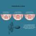 Suavinex 2 Pack Pacifiers for Babies 0-6 Months - Symmetrical Silicone Design - Pink - SX Pro - Buy Online on GoSupps.com