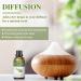 100ml Tea Tree Essential Oil - Therapeutic Grade, 100% Pure & Natural, for Diffuser, Skin Care, Hair Growth, Toenail, Home Cleaning, Candle Making - with Dropper - Buy Online on GoSupps.com