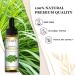 EUQEE Lemongrass Essential Oil 10ml - Pure & Natural Aromatherapy Oil for Home Relaxation - Diffuser & Humidifier Blend - Pack of 1 - Buy Online on GoSupps.com