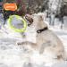 Laroo Dog Frisbee - Durable Water Toy for Medium & Large Dogs | Summer Pet Training Disc 30cm Green - Buy Online on GoSupps.com