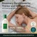 AROMATICA Rosemary Active V Anti-Hair Loss Shampoo & Conditioner Set 13.53 fl. oz. each - Hair Growth Shampoo and Conditioner Set with Rosemary Oil - Paraben  Sulfate and Silicon Free 04 Anti-Hair Loss Shampoo & Rosemary Câ¦ - Buy Online on GoSupps.com