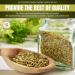 Taj Premium Indian Fennel Powder - 5 Pounds Jar | Saunf Ground Spice - Buy Online on GoSupps.com