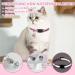 Adjustable Cat Dishes Set - Soft Lining Breathable Mesh & Leash - Pink for Cats Kittens Dogs & Puppies - Buy Online on GoSupps.com