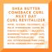 Cantu Comeback Curl Next Day Revitalizer Mist with Shea Butter - 12 fl oz (Pack of 1) - Buy Online on GoSupps.com