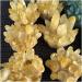 Natural Crystal Rough Stone Crafts Natural Yellow Ghost Phantom Quartz Crystal Cluster Specimen Home Decoration Office Living Room Crystal Decora (Size : 250-300g) - Buy Online on GoSupps.com