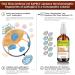 Sinus Defense 2.0 Homeopathic Sublingual Spray - Natural Immune Support for Sinusitis Co-Infections | 2 fl oz - Buy Online on GoSupps.com