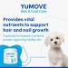 YuMOVE Skin & Coat Care Boost | Previously YuDERM Boost | Nutritional Supplement for Dogs Coat Skin and Nails | 180 scoops | Packaging may vary 91 g (Pack of 1) - Buy Online on GoSupps.com