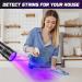Kizplays UV Torch LED Flashlight UV lamp 395nm Lights pet Urine Detector for Dried Stains from Your Dogs Cats and Rodents on Carpets Curtains 2 Packs 6 x AAA Batteries Included - Buy Online on GoSupps.com