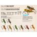 Rebel Lures Crickhopper 1 1/2 Inch 1/4 oz Fishing Lure - Fire Tiger Color - Buy Online on GoSupps.com