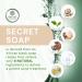 Secret Soap Natural Foaming Cleanser for Acne & Blemishes - 10oz Unscented Gentle Wash for All Skin Types with Shea Butter & Coconut Oil - Buy Online on GoSupps.com