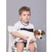 Buy Bold Chain for Dogs & Cats | 100% Baltic Amber | Natural Tick Protection | Vermin Collar for All Sizes - Baltic Secret - Buy Online on GoSupps.com