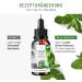 Lifelong Alfalfa Chlorophyll Liquid 50ml - 200mg Daily Dose - Vegan Drops Alternative to Tablets - Buy Online on GoSupps.com