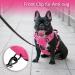 POPOT Reflective Dog Harness for Medium Dogs | Adjustable Softly Padded No-Choke Pet Vest with Control Handle (Pink Size M) - International Shipping Available - Buy Online on GoSupps.com