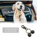 Micro Traders Brass Pet Bell Tracker for Dogs and Cats - Collar Pendant Charm for Pets - Harness Training Bell - Buy Online on GoSupps.com