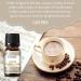 EUQEE 6PCS Premium Fragrance Oils Set for Coffee Shop - 10ml - Coffee Cake, Chocolate, Coconut Cream, Coconut & Vanilla, Black Opium - Buy Online on GoSupps.com