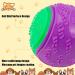 Bestomrogh 4Pcs Squeaky Dog Ball Set for Puppy and Dogs - Durable, Interactive and Anxiety-Relieving Chew Toys for Training and Teeth Cleaning - Buy Online on GoSupps.com